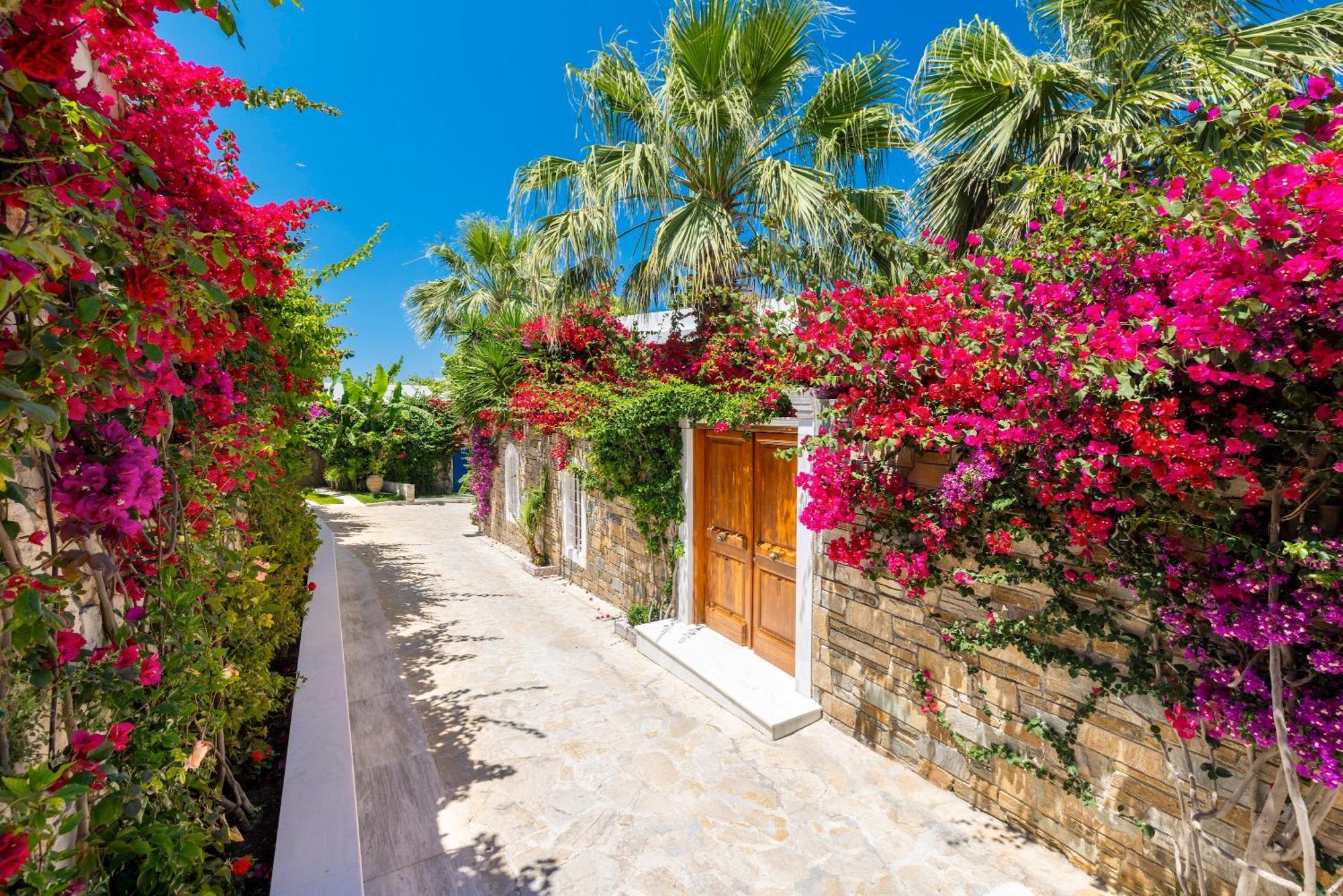 Porto Zante Villas And Spa ตรากากิ ภายนอก รูปภาพ